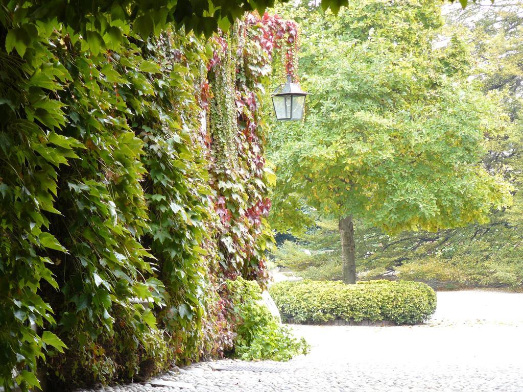 Al Concerto Bed and Breakfast San Benigno Canavese Esterno foto